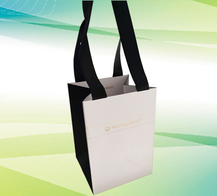 禮(lǐ)品袋